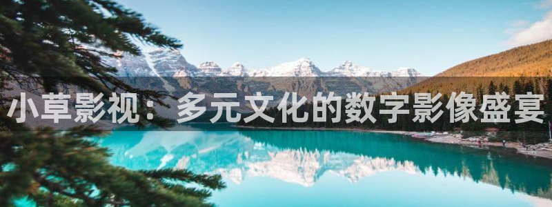 奇奇影院手机版：小草影视：多元文化的数字影像盛宴