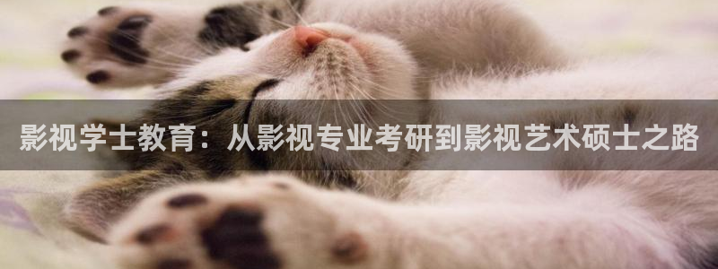 无颜之月奇奇影院：影视学士教育：从影视专业考研到影视艺术硕士之路