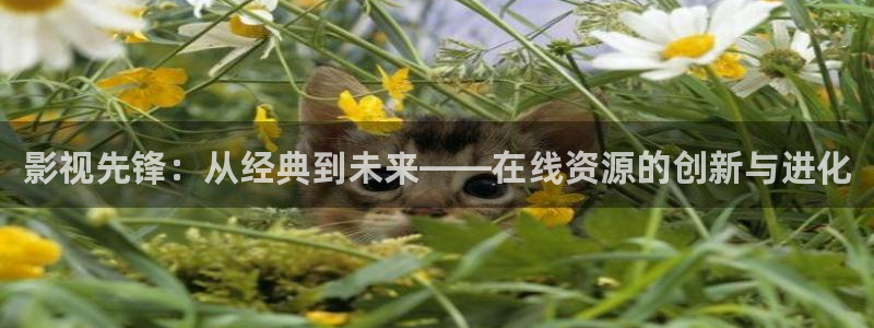 奇奇米影视第四色：影视先锋：从经典到未来——在线资源的创新与进化