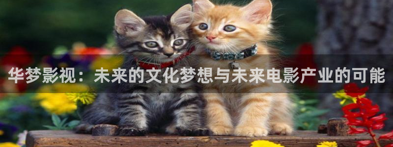 奇奇影院在线播放：华梦影视：未来的文化梦想与未来电影产业的可能