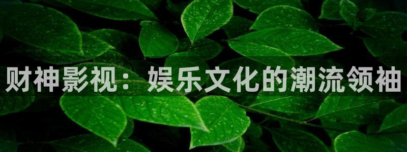 奇奇影院官网：财神影视：娱乐文化的潮流领袖