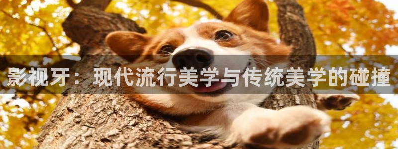 不卡神马奇奇影院：影视牙：现代流行美学与传统美学的碰撞