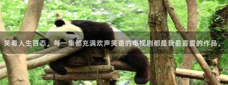 奇奇影院午夜网：笑看人生百态，每一集都充满欢声笑语的电视剧都是我最喜爱的作品。