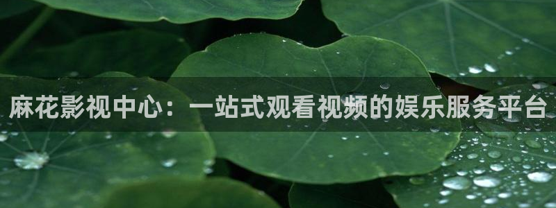 奇奇影视理论：麻花影视中心：一站式观看视频的娱乐服务平台
