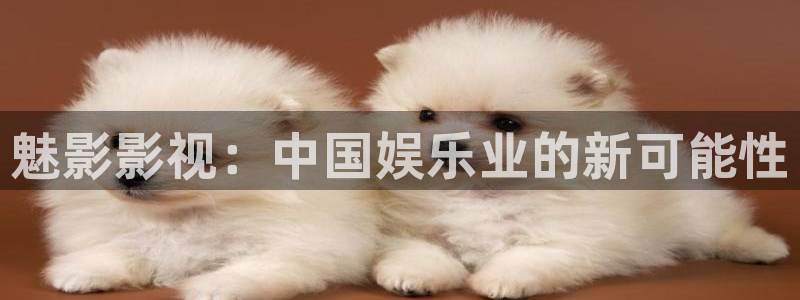 奇奇理论影院：魅影影视：中国娱乐业的新可能性