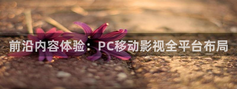 奇奇米影视第四色：前沿内容体验：PC移动影视全平台布局