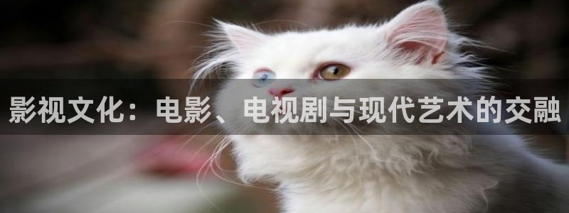 奇奇影院在线播放：影视文化：电影、电视剧与现代艺术的交融